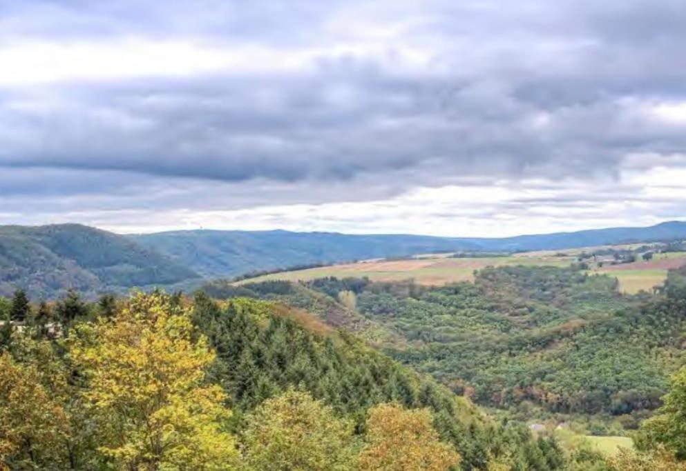 B603, Bezauberndes Appartement Lahnstein Eksteriør billede